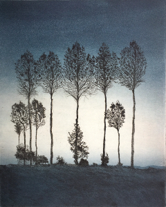 Naturobjekt (Baumgruppe), 1978
