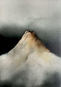 Stiller Vulkan, 1978
