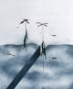 Erdriss mit absterbender Vegetation, 1973