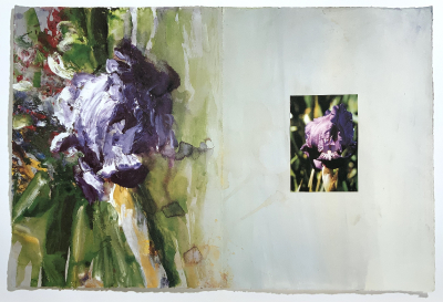 Tagebuch (Iris Chamaeiris), 1992