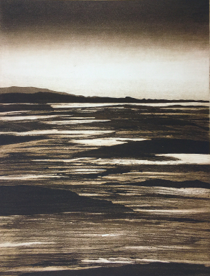 Wattlandschaft, 1978